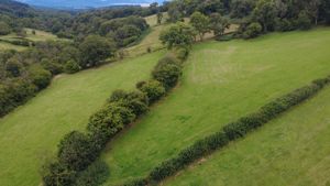 Photo 3- click for photo gallery